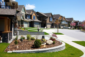 Neighborhood Street with homes